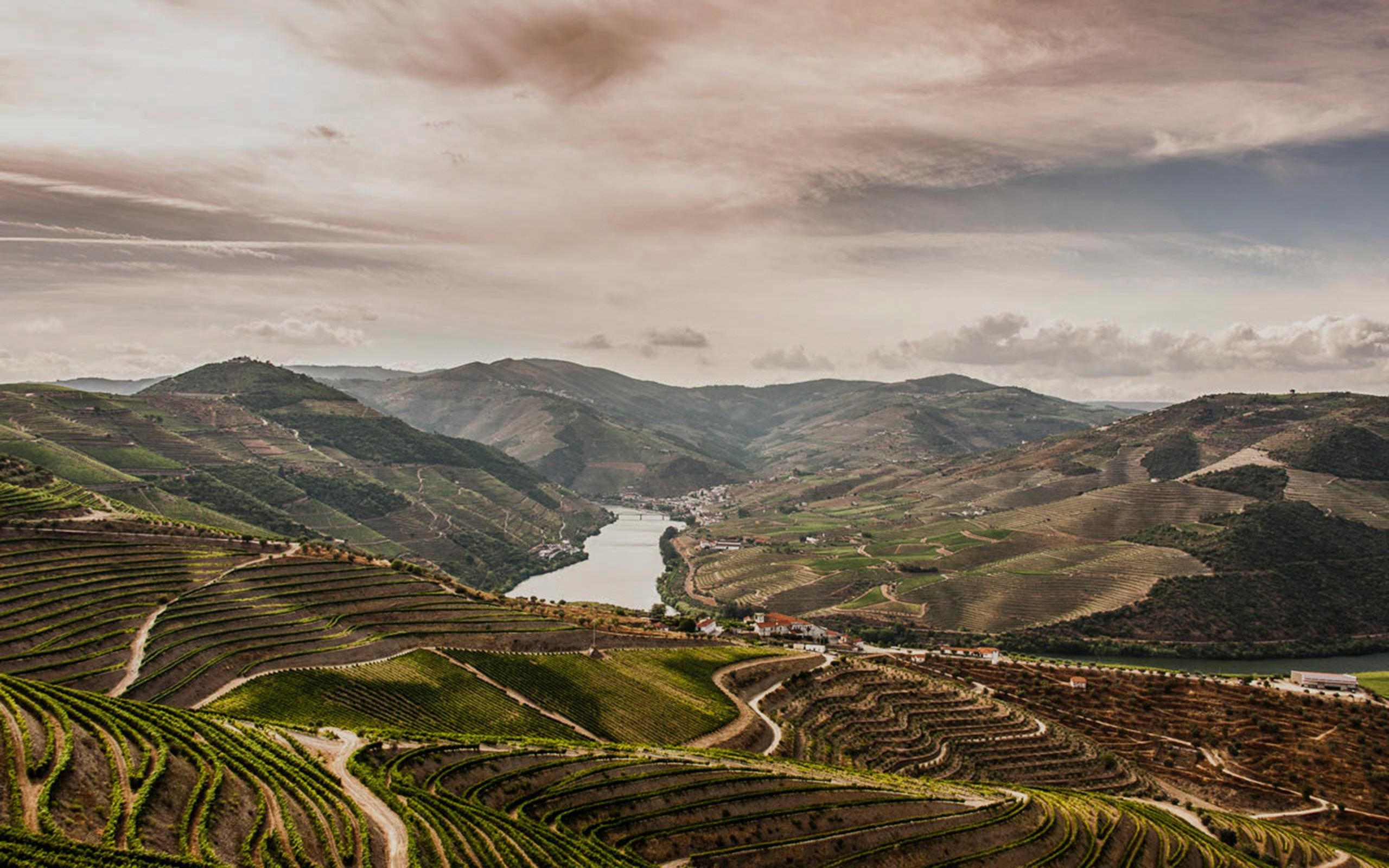 Private Douro Day Cruise