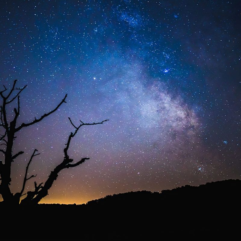 A Night Under the Stars in the Alentejo with an Astronomer Host