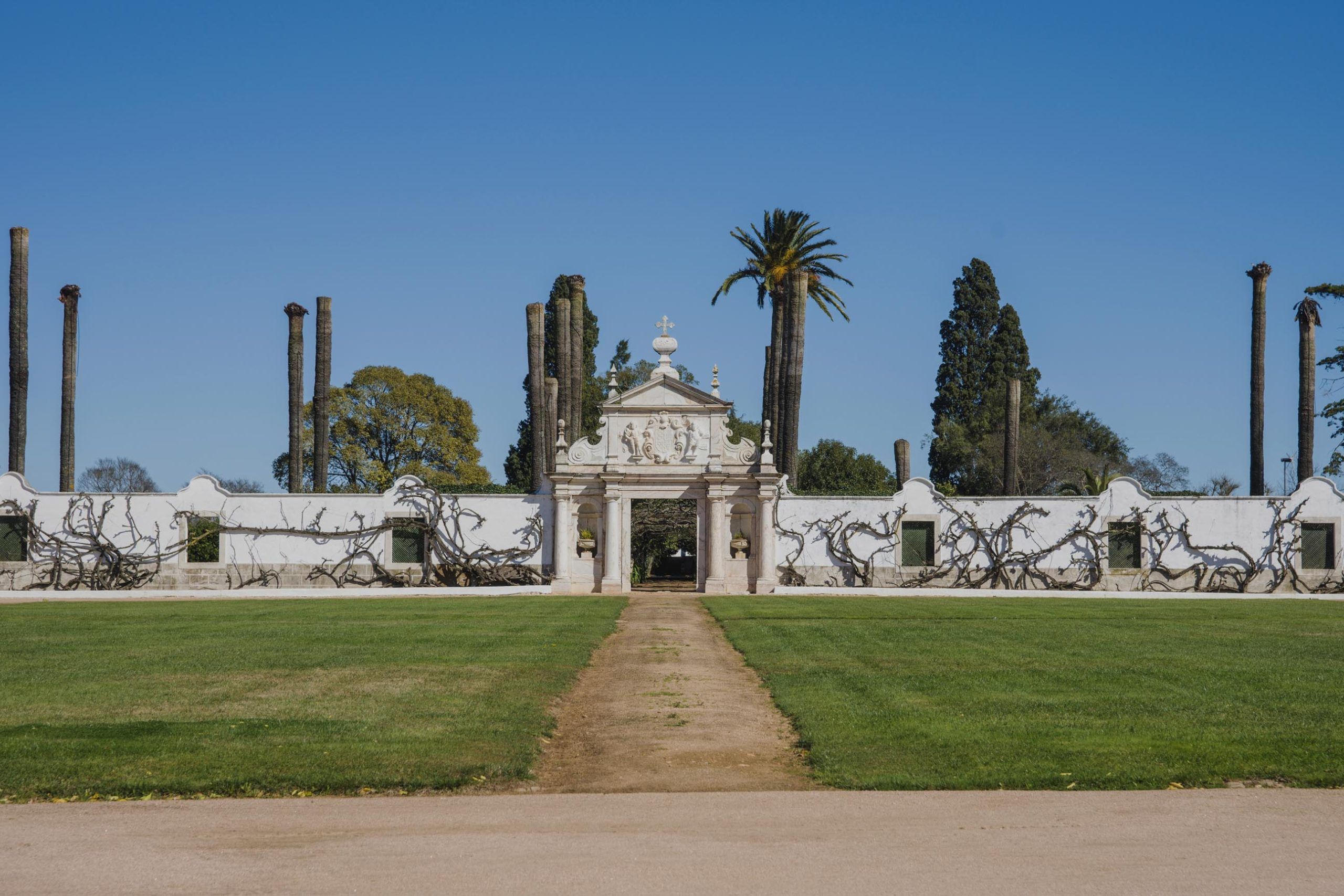 Private Visit, Wine Tasting and Lunch at an Alentejo Quinta